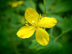 -碓臼峪自然风景区