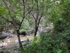 -小五台金河景区