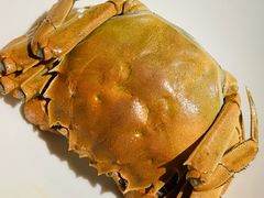 清蒸大闸蟹-蟹榭·本帮江浙菜·蟹宴(五角场合生汇商场店)