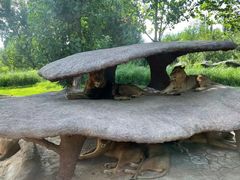 -北京野生动物园