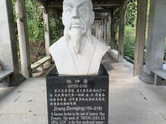 -深圳仙湖植物园