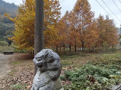 -沣峪口