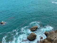 -广东惠东海龟国家级自然保护区