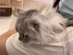 -佳雯宠物医院(四明中路分院)