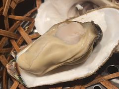 清蒸生蚝-蚝翅·海鲜粥·烧烤·宁夏滩羊季(玉米楼店)