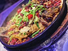 -老板恋上鱼(恒隆广场店)