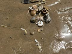 -东戴河风景区-止锚湾