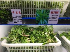-黔府豆米火锅野菜馆(南马店)