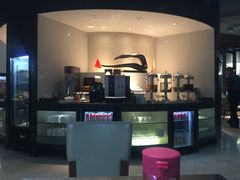 -虹桥机场国航贵宾室v8