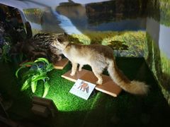 -下渚湖国家湿地公园科普馆