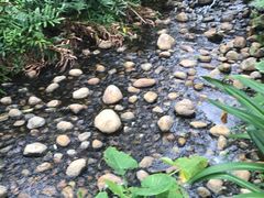-江门古兜温泉小镇