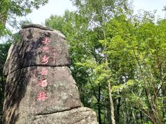 -汤旺河林海奇石景区