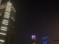 -浦东1号2号航站楼(地铁站)