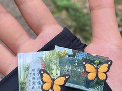 -明月山风景名胜区