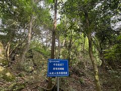 -石台牯牛降景区