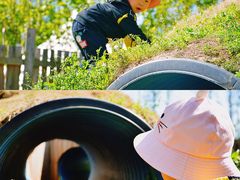 -前小桔亲子创意农场·草莓采摘·露营烧烤