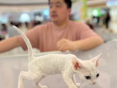 -龙湖南京江北天街