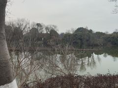 -西溪国家湿地公园