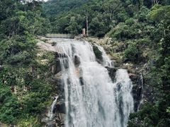 -海南热带雨林国家公园吊罗山景区