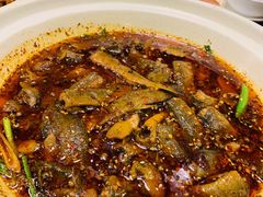 情妹耙泥鳅-情妹耙泥鳅·江湖川菜(科华店)
