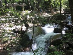 -红崖峡谷景区