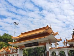 -深圳仙湖植物园