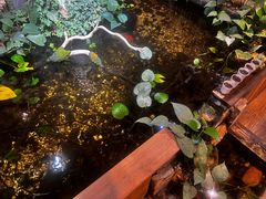 -邈墨茶馆(大兜路1号店)