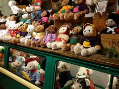 -济州岛泰迪熊博物馆