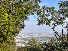 -树山生态村
