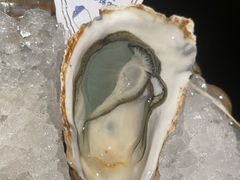 -Osteria Garden 生蚝花园餐厅(原进贤路店)