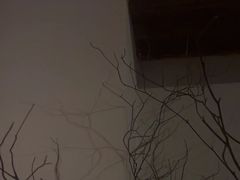 -Hideout Hookah Lounge·隐觅地