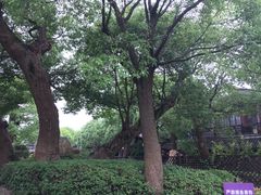 -韩湘水博园