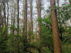 -同里国家湿地公园