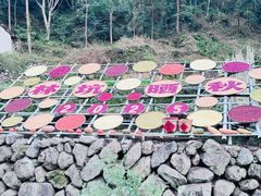 -林坑古村落