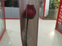 -怡花宜木鲜花店(朝阳路店)