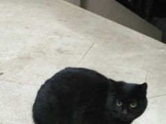 -泰顺江南春面馆