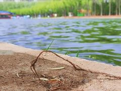 -森林公园(尖草坪区)