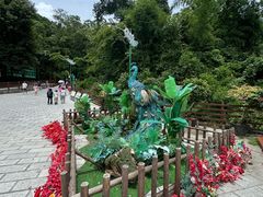 -西双版纳原始森林公园