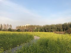 -长春公园(普阳街道)