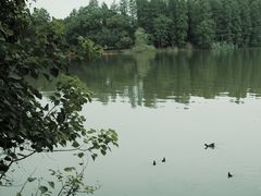 -东湖落雁景区