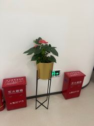 -丰联丽格医疗美容·联合丽格眼整形中心