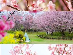 -福建鲤鱼洲酒店