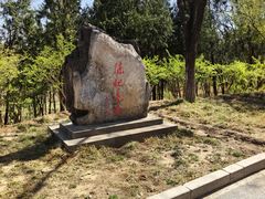 -滨河世纪广场公园
