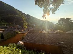 -杨家堂村