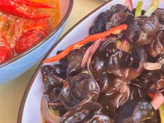凉拌木耳-小田油焖小龙虾(双井店)