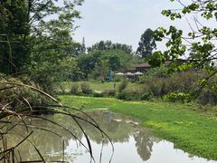 -桤木河湿地公园