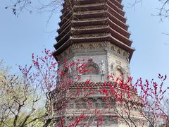 -玲珑塔公园