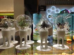 android_upload_pic-银泰百货(西湖店)