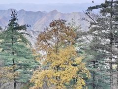 -秦岭天竺山生态文化旅游景区