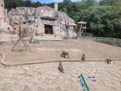 -哈尔滨北方森林动物园